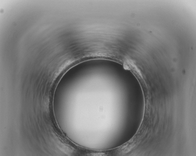 X0000088610108200706011237