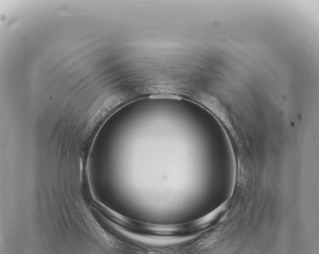 X0000088610109200706011237