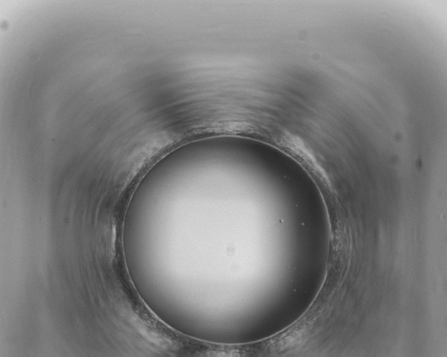 X0000088610110200706011237