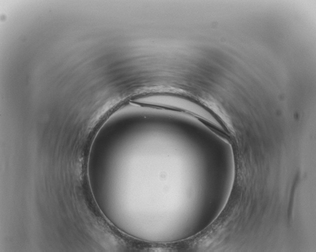 X0000088610111200706011237