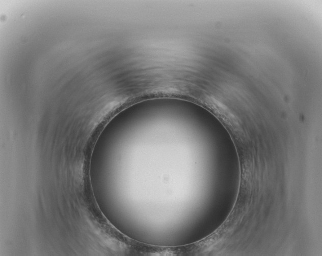 X0000088610112200706011237