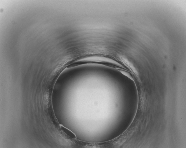 X0000088610113200706011237