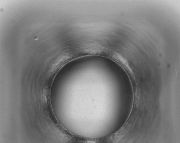 X0000088610114200706011237