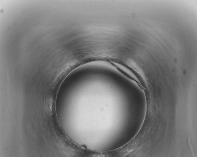 X0000088610115200706011237