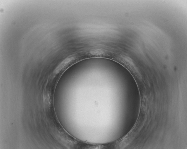 X0000088610116200706011237