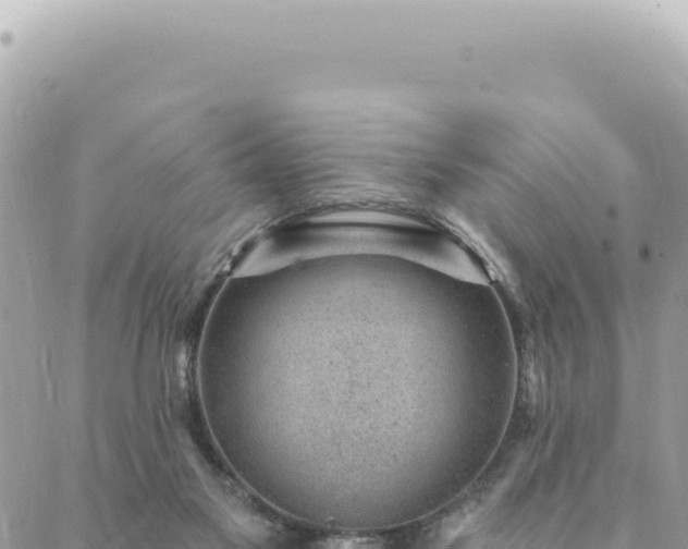 X0000088610117200706011237