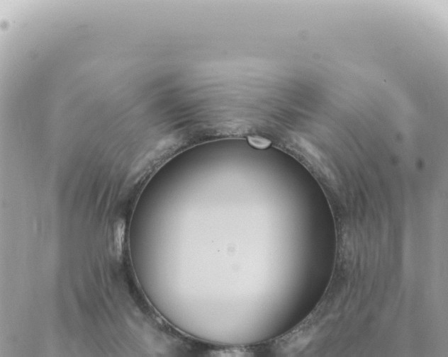 X0000088610118200706011237