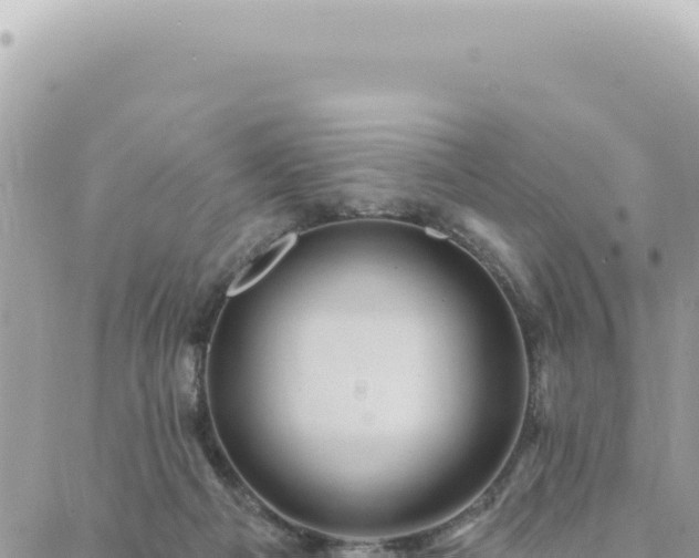 X0000088610121200706011237