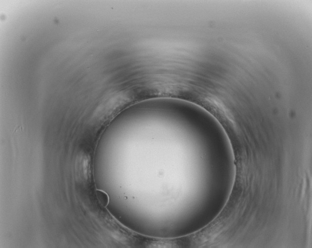 X0000088610123200706011237