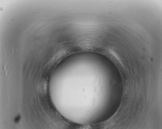 X0000088610124200706011237