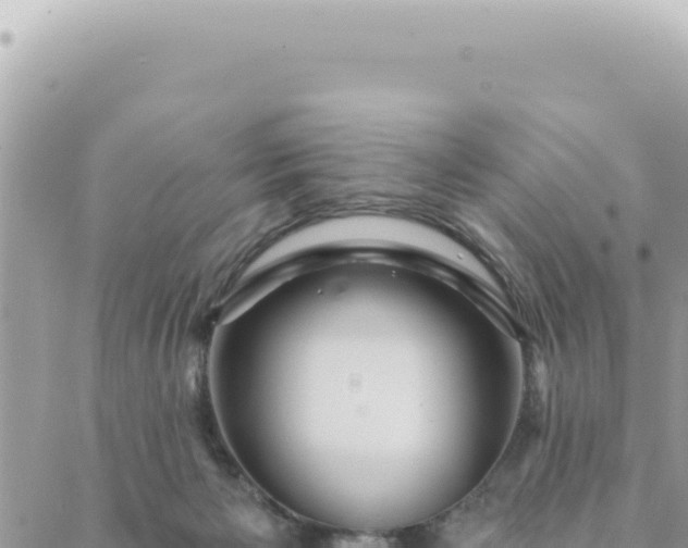 X0000088610125200706011237