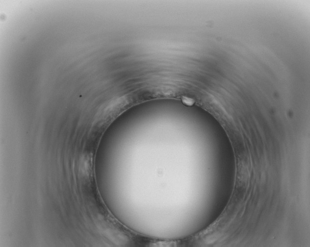 X0000088610126200706011237