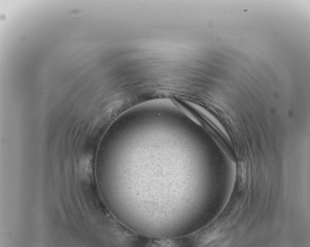 X0000088610127200706011237