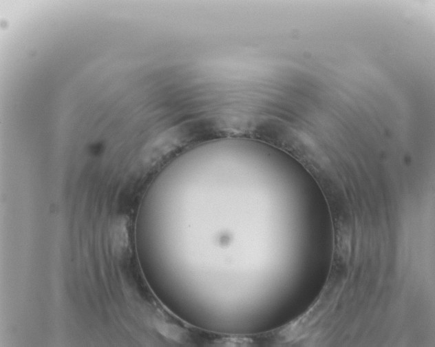 X0000088610128200706011237