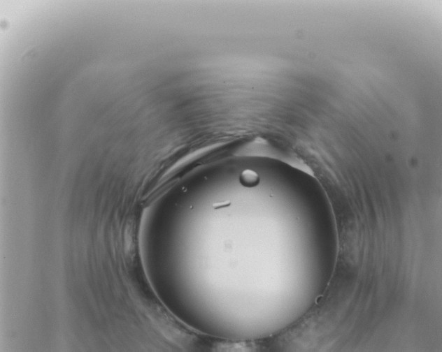 X0000088610131200706011237