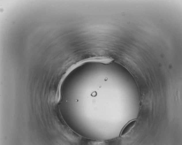 X0000088610132200706011237