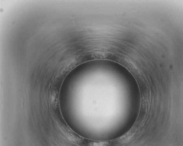 X0000088610134200706011237