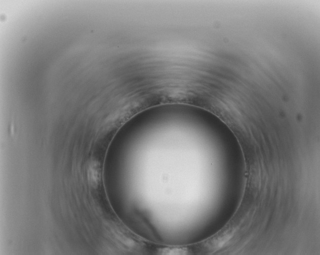 X0000088610135200706011237