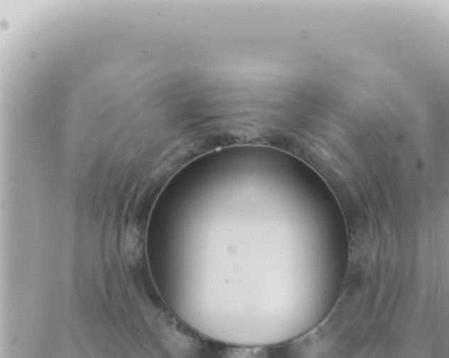 X0000088610136200706011237