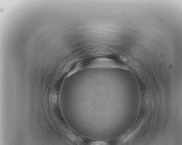 X0000088610137200706011237