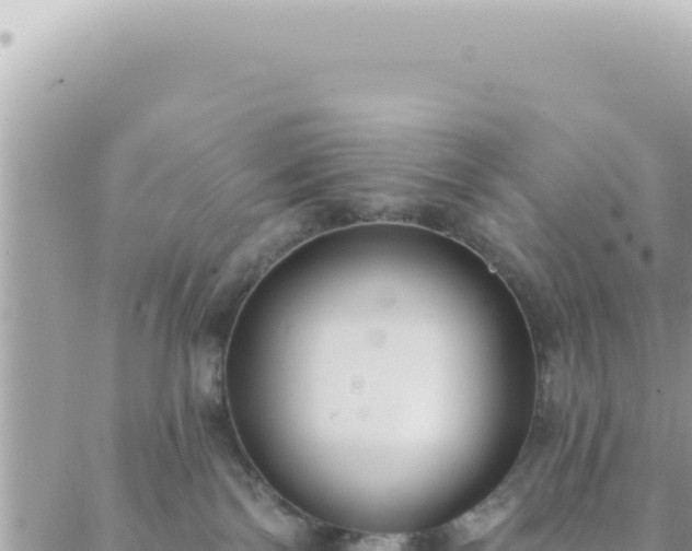 X0000088610138200706011237