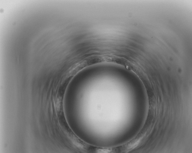 X0000088610139200706011237