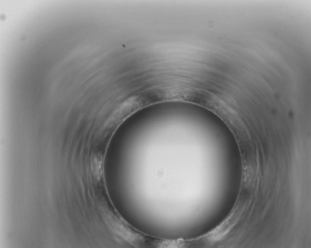 X0000088610142200706011237