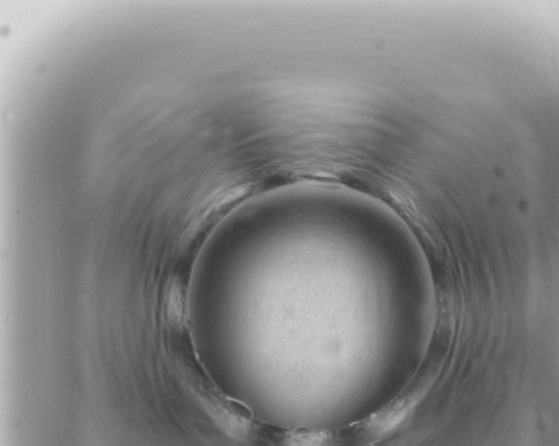 X0000088610143200706011237