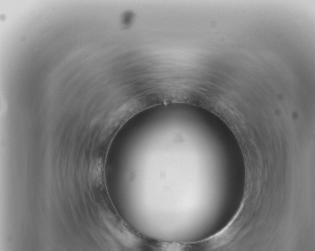 X0000088610144200706011237