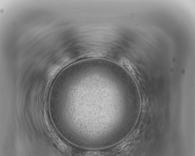 X0000088610145200706011236