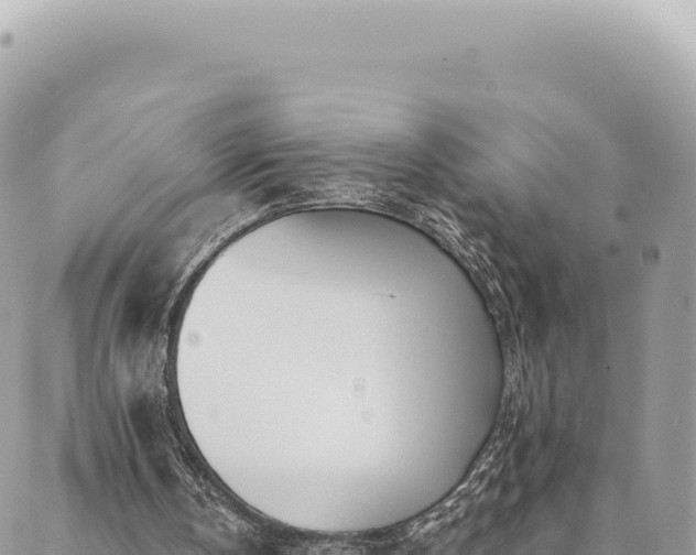 X0000088610146200706011236