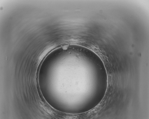 X0000088610147200706011236