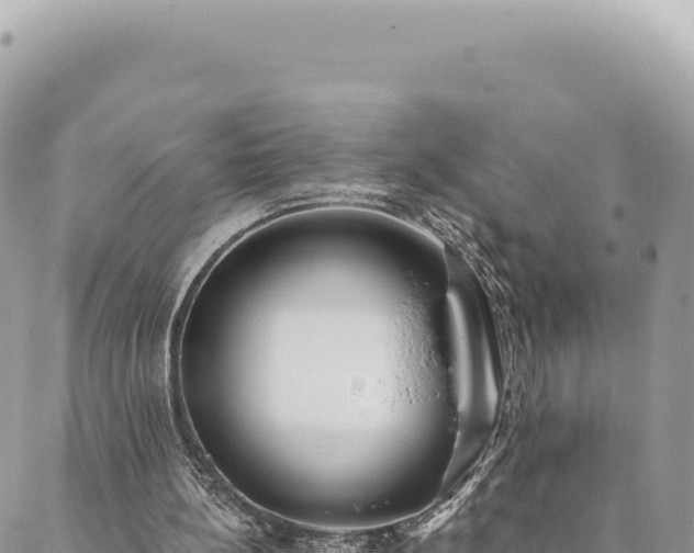 X0000088610148200706011236