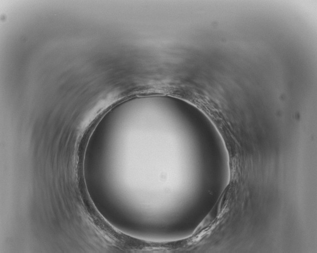 X0000088610150200706011236