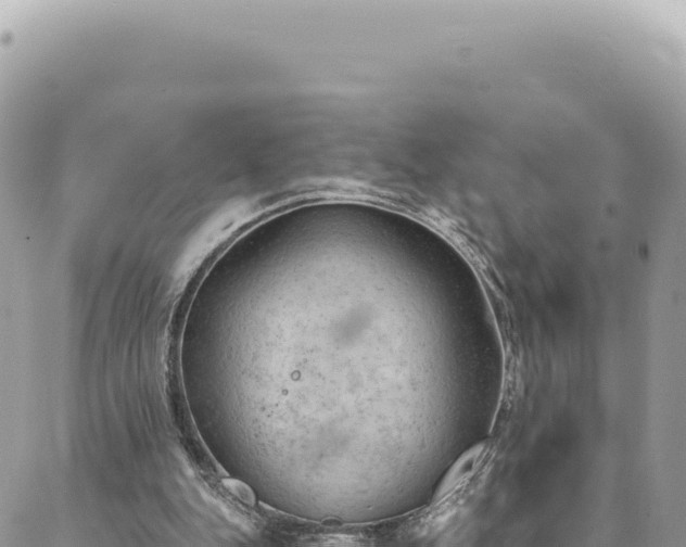 X0000088610151200706011236