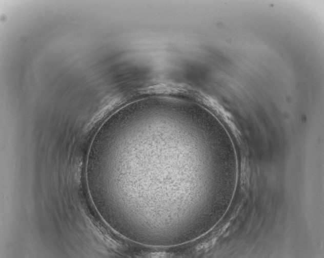 X0000088610153200706011236