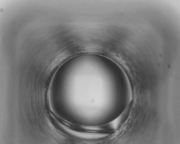 X0000088610154200706011236