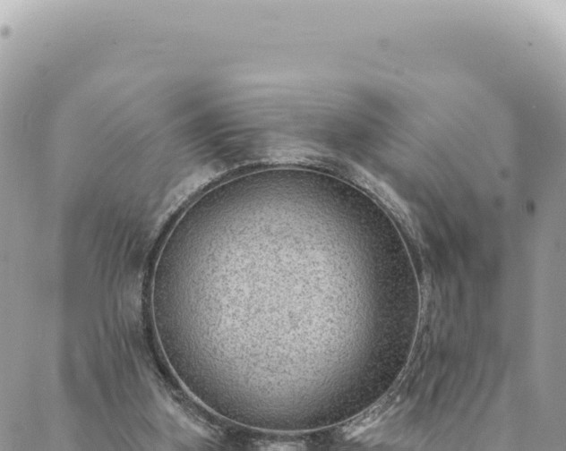 X0000088610155200706011236