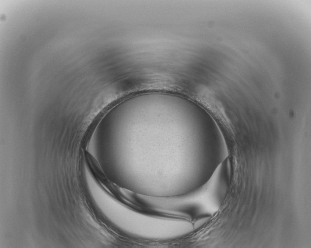 X0000088610156200706011236