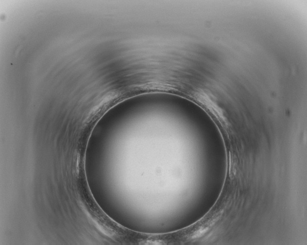 X0000088610157200706011236