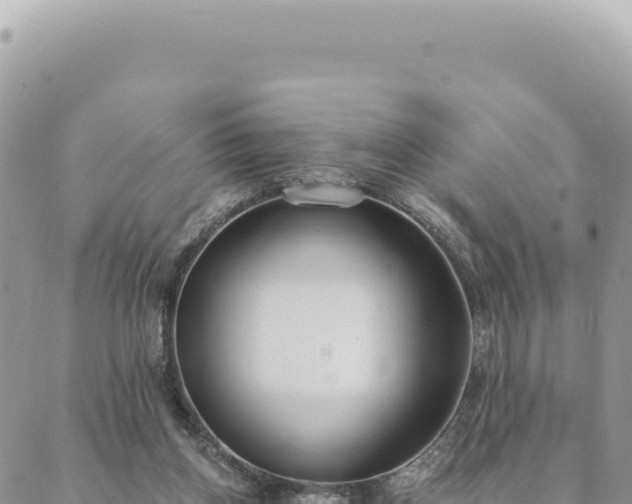 X0000088610158200706011236