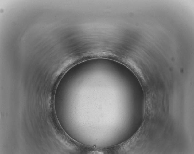 X0000088610159200706011236