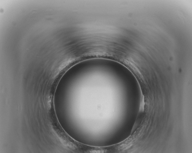 X0000088610160200706011236