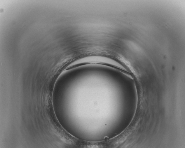 X0000088610161200706011236