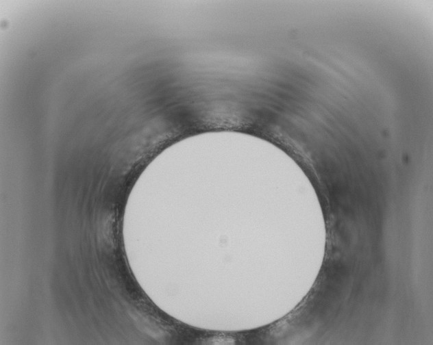 X0000088610162200706011236