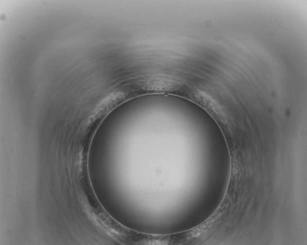 X0000088610163200706011236