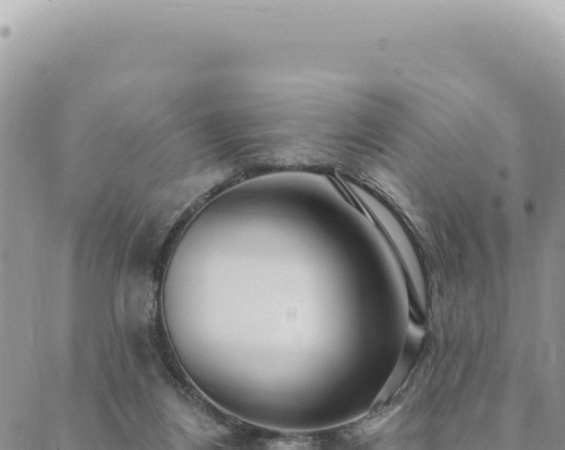 X0000088610164200706011236