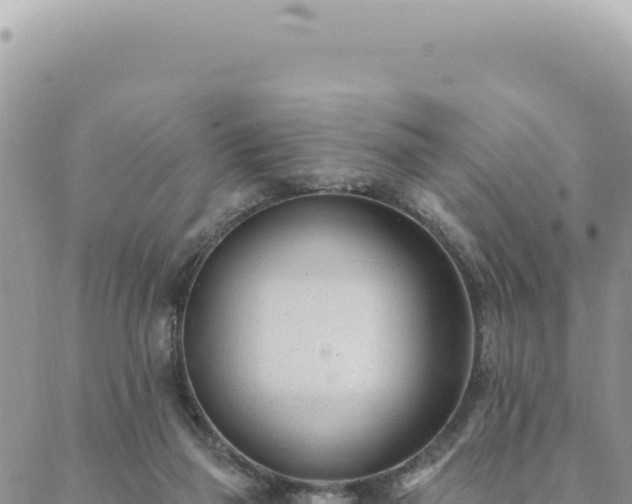 X0000088610165200706011236