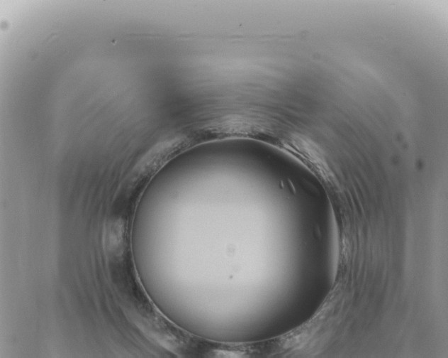 X0000088610167200706011236