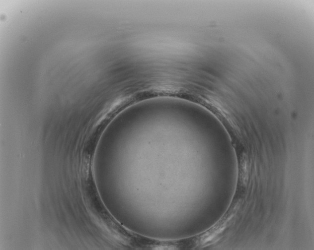 X0000088610168200706011236